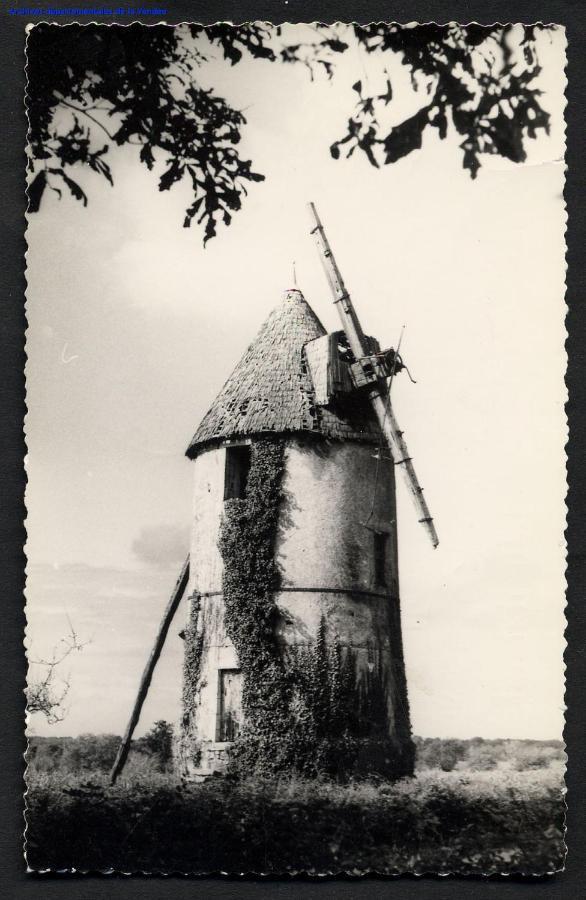 Вилла Moulin A Vent Le Champ Du Trail Saint-Cyr-des-Gats Экстерьер фото